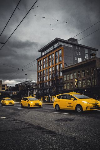 汽车、交通工具、车辆、汽车、出租车、出租车、鸟类、动物