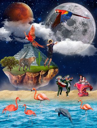 海豚、身体、水、墨西哥、月亮、风景、夜晚、传统