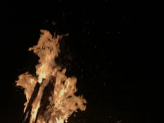 红火，火，火焰，篝火，冒险，休闲活动，昆虫，无脊椎动物