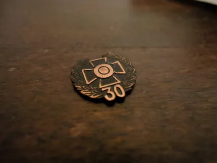 奖牌，奖牌，芬兰，陆军，铜牌，博物馆，展览，单一物品