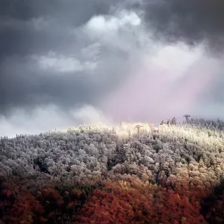 地标摄影,灰色,白色,树丛,多云,天空,秋天,冬天 地标摄影,灰色,白色,树丛,多云,天空,秋天,冬天