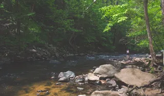 美国，高桥，肯洛克伍德峡谷野生动物管理区，岩石，森林，树木，夏天，女人