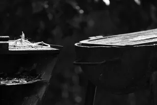 墨西哥、特拉尔蒂扎潘、parque acuatico“las estacas”、剩菜、特写、家庭、bandw、grill