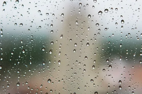 视图、水、水滴、水滴、特写、照片、雨、湿 视图、水、水滴、水滴、特写、照片、雨、湿