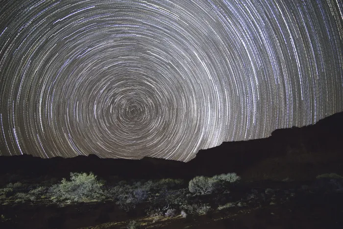 植物的延时摄影