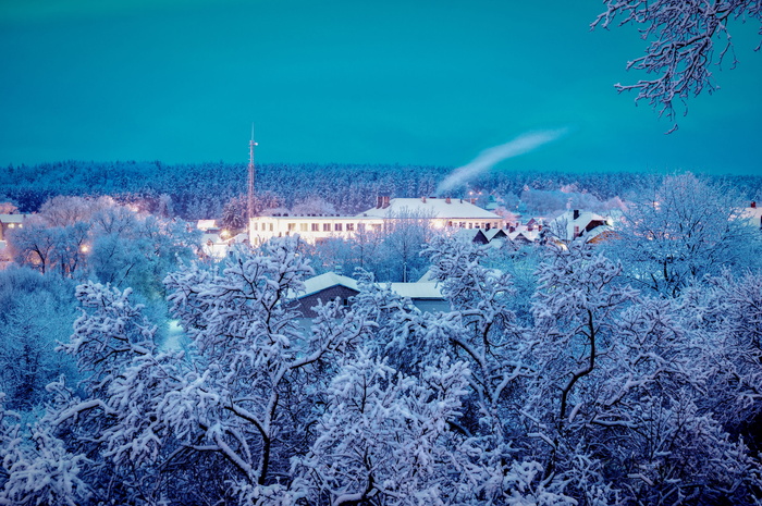 冬天，雪，寒冷，白色，十二月，蓝色，天空，一月