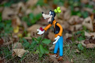 迪士尼，秋天，高飞，静物，季节，森林，土地，自然