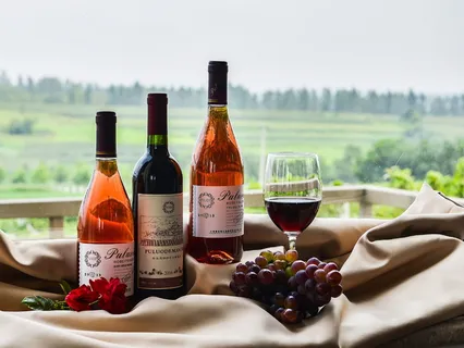 采购产品酒瓶,旁边,酒杯,开普洛德,庄园,葡萄酒,饮料,食品和饮料 采购产品酒瓶,旁边,酒杯,开普洛德,庄园,葡萄酒,饮料,食品和饮料