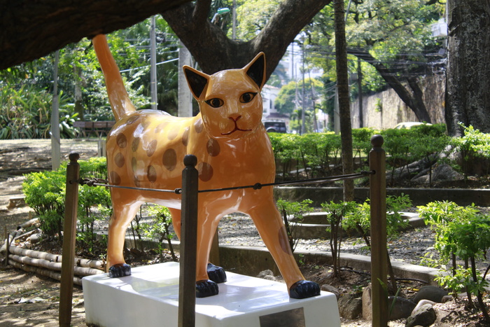 猫, 卡利, 哥伦比亚, 公园, 猫的, 动物主题, 动物, 树