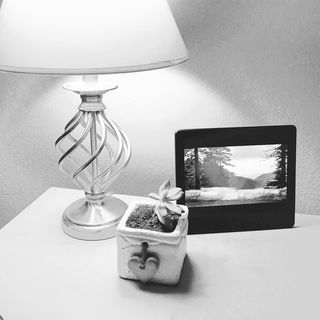 灯具，多汁，装饰，室内，当代，风格，室内植物，简约