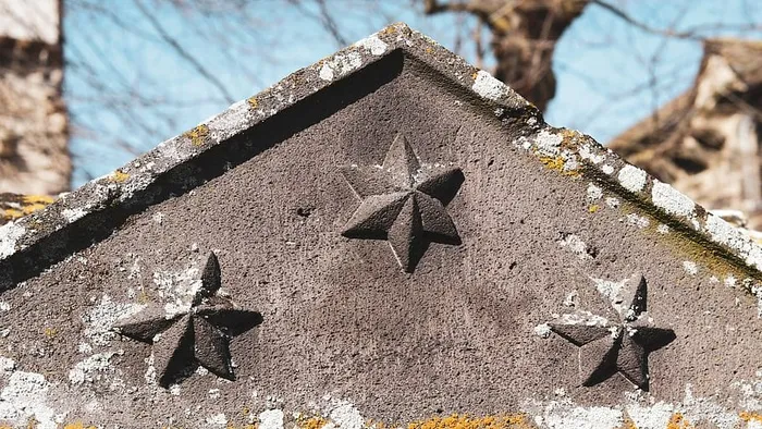 符号，叶子，植物，星星符号，罗菲亚克，法国，三角形，三星