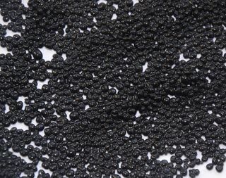 黑鱼子酱，杯子，盘子，鱼子酱，杯子，盘子，黑色，食物，早餐