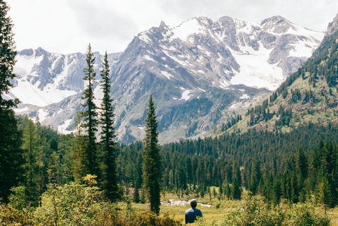 树，雪季，山，高地，云，蓝色，天空，顶峰