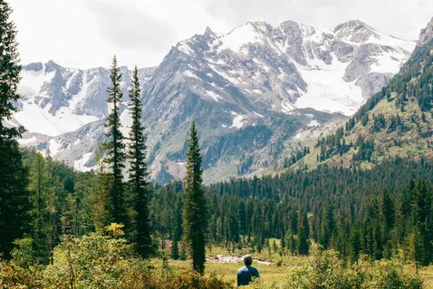 树，雪季，山，高地，云，蓝色，天空，顶峰