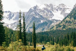 树，雪季，山，高地，云，蓝色，天空，顶峰