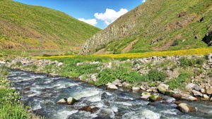 tortum、erzurum、yeşildere、scenics——自然、自然之美、岩石、固体、植物
