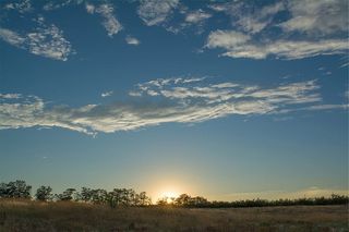 风景照片，树木，金色，小时，风景，摄影，热带草原，日落