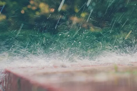 水、雨、特写、飞溅、植物、无人、选择性聚焦、自然