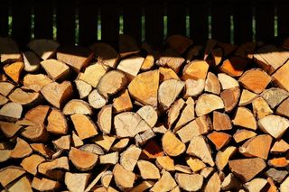 原木，木材，木材，真菌，树木，纹理，堆叠，农村