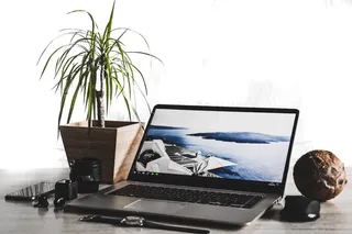 盆栽旁的笔记本电脑