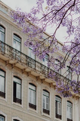 葡萄牙里斯本建筑