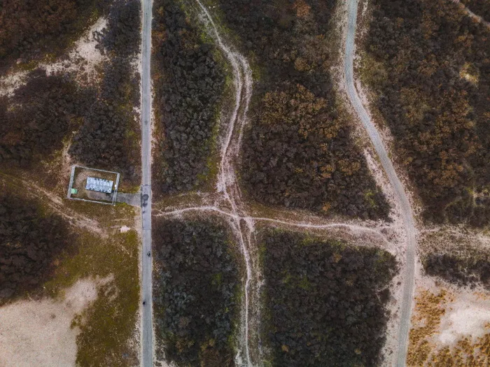 白天绿树的航空摄影