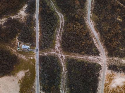 白天绿树的航空摄影