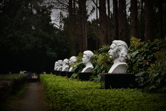 名人林、爱因斯坦、玛丽·居里、植物、树、坟墓、墓地、墓碑