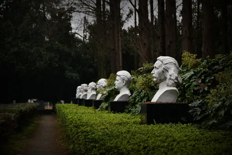 名人林、爱因斯坦、玛丽·居里、植物、树、坟墓、墓地、墓碑