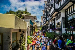 人类, 人, 行人, 交通, 车辆, 自行车, 自行车, 户外