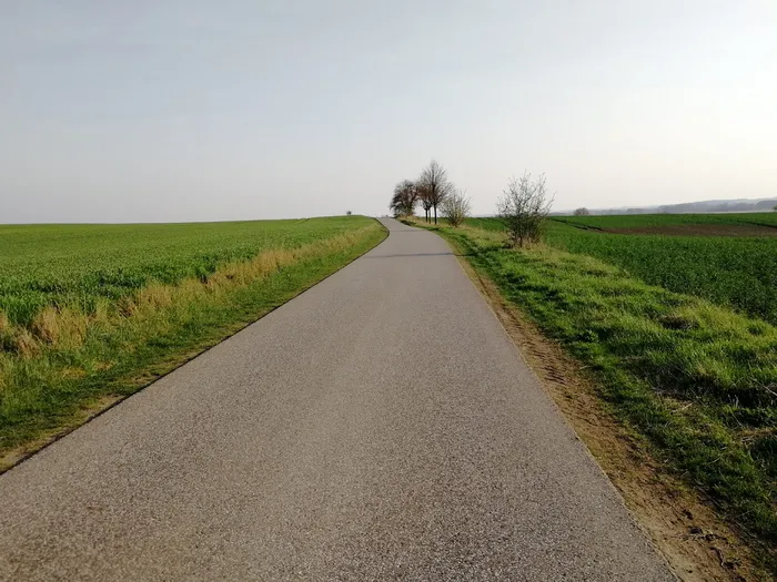道路、景观、指示、草地、田野、天空、前进的道路、方向