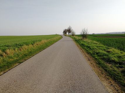道路、景观、指示、草地、田野、天空、前进的道路、方向