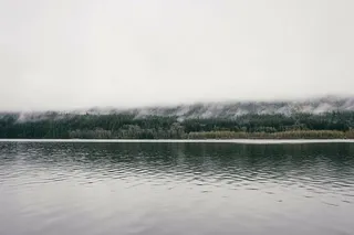 身体，水，树，照片，湖泊，自然，天空，雾