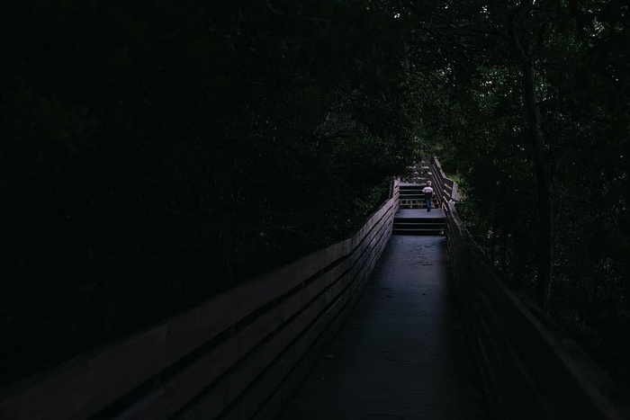 混凝土、道路、植物、人、步行、旅行、独自一人、桥梁