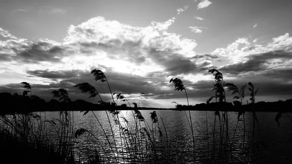 湖,bw,太阳,天空,云-天空,水,宁静,自然之美 湖,bw,太阳,天空,云-天空,水,宁静,自然之美