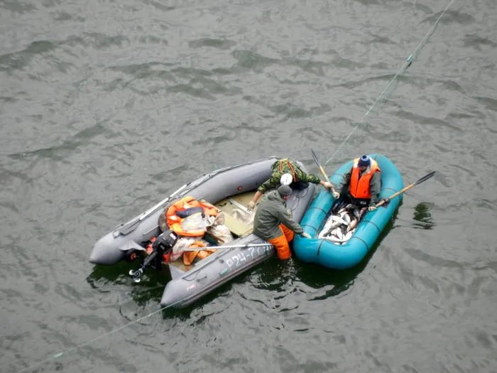 太平洋、波浪、海浪、泡沫、大海、海景、沙滩