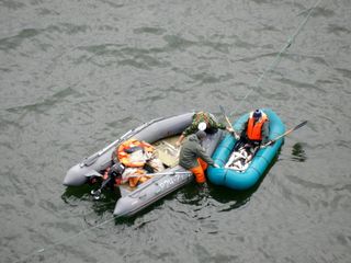 太平洋、波浪、海浪、泡沫、大海、海景、沙滩