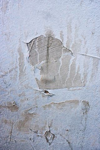 白色和棕色路面