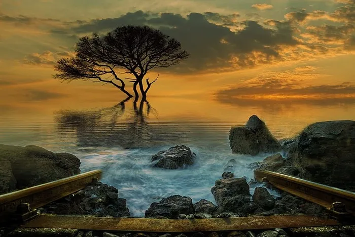 timelapse摄影、飞溅、波浪、岩石、树木、金色、小时、风景