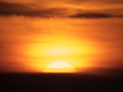 夕阳红 夕阳红