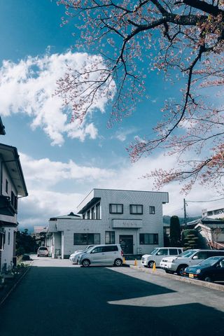 日本，fujikawaguchiko，kawaguchiko，trees，iphone，iphone墙纸，sakura，日语