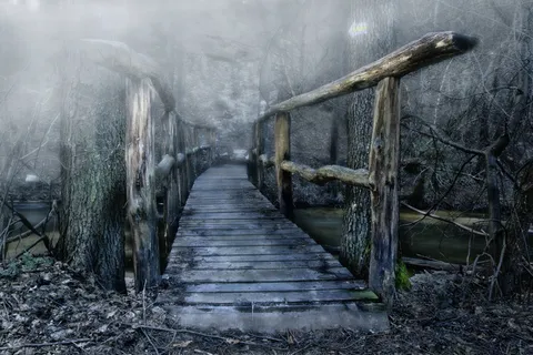 灰色的木桥,桥,木桥,颜色,雾,水,没有人,天 灰色的木桥,桥,木桥,颜色,雾,水,没有人,天
