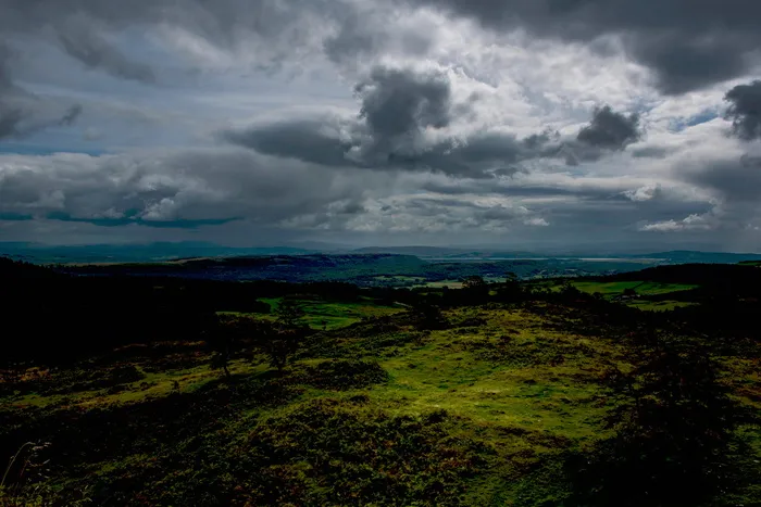 航空、观影、绿化、森林、自然、草、树、天空