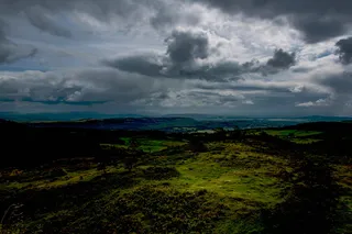 航空、观影、绿化、森林、自然、草、树、天空