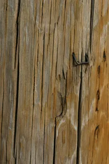 木材，纹理，电话杆，木质材料，纹理，全框架，背景，没有人