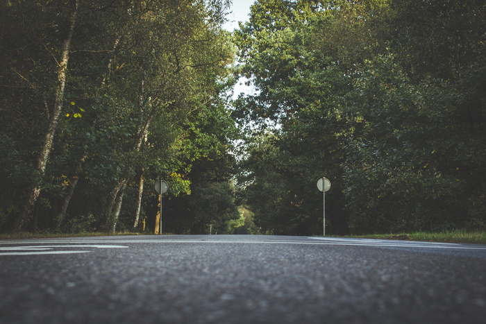 照片，绿色，棕色，树木，道路，白天，附近，蓝色