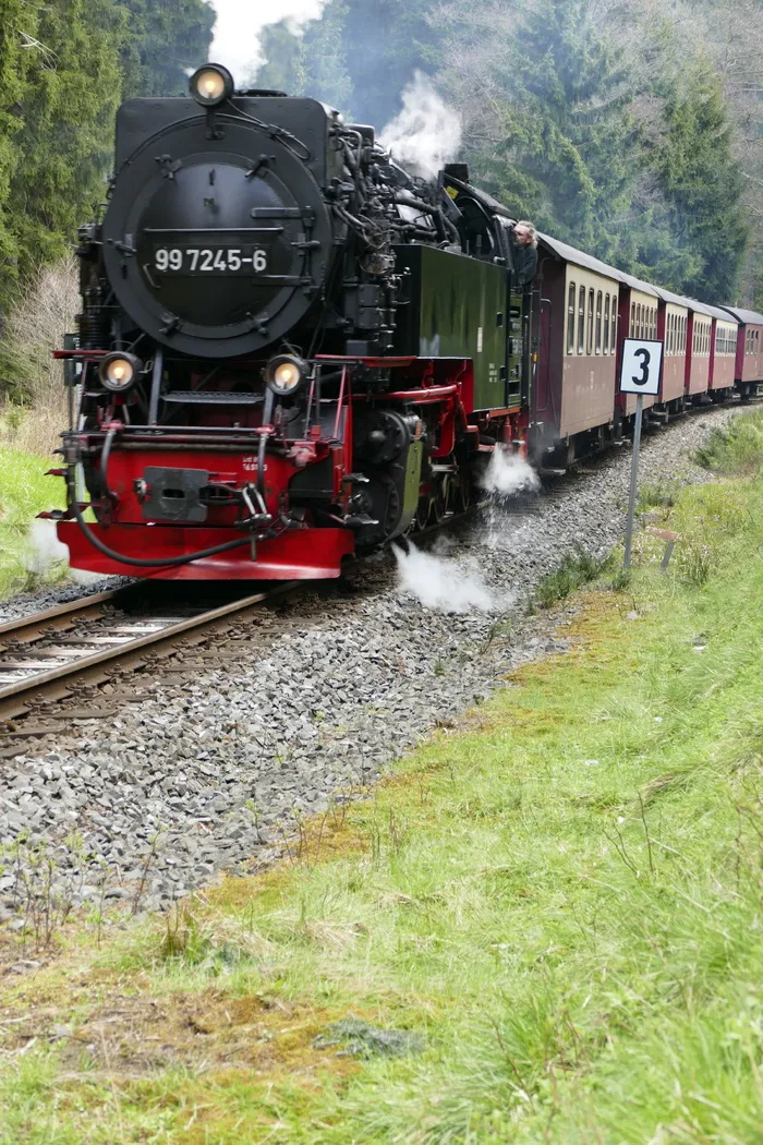 轨距、Harzquerbahn、Nature、窄轨、森林、蒸汽、机车、火车-车辆