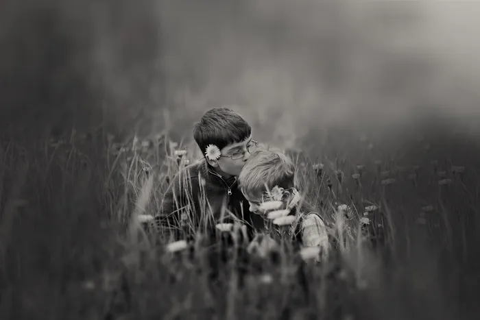 爱，人，田野，花，黑白，模糊，男孩，兄弟