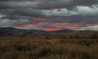 多云天空下以山脉为背景的草地