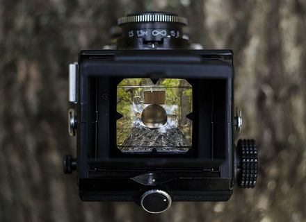 相机，镜头，取景器，磨砂玻璃，业余爱好者，树，树皮，玻璃